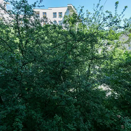 Comfy Saska * Warschau