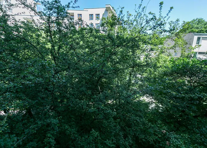 Comfy Saska * Varsóvia