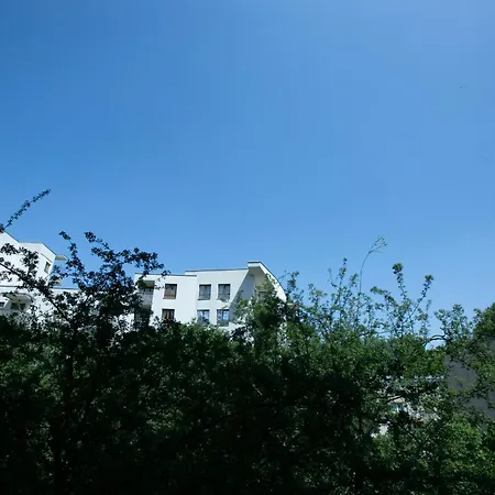 Comfy Saska Appartement